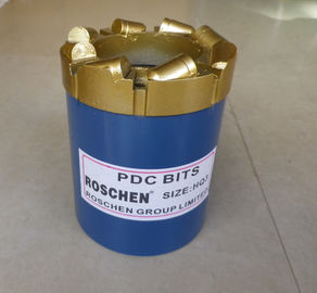 Van de de Diamantkern van PDC/PCD-de Boorbeetjes voor van de de Putdiamant van het Geotechnische en API Oliegas de Kernboring